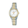 Casio Women Two-Tone Stainless Steel Watch - LTP-1129G-7A